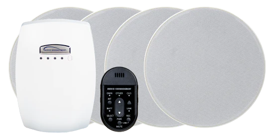 Audio Enhancement - Sentinel Audio System